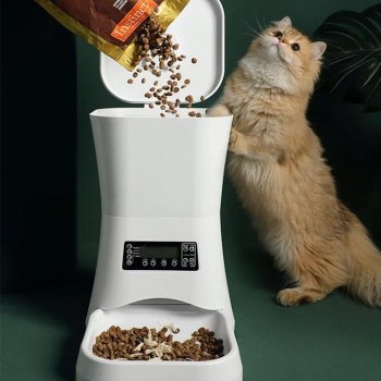 UV Stainless Steel Pet Water Fountain: Setup & Care Tips
