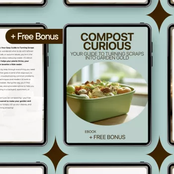 Compost Curious: Easy Composting From Kitchen Scraps
